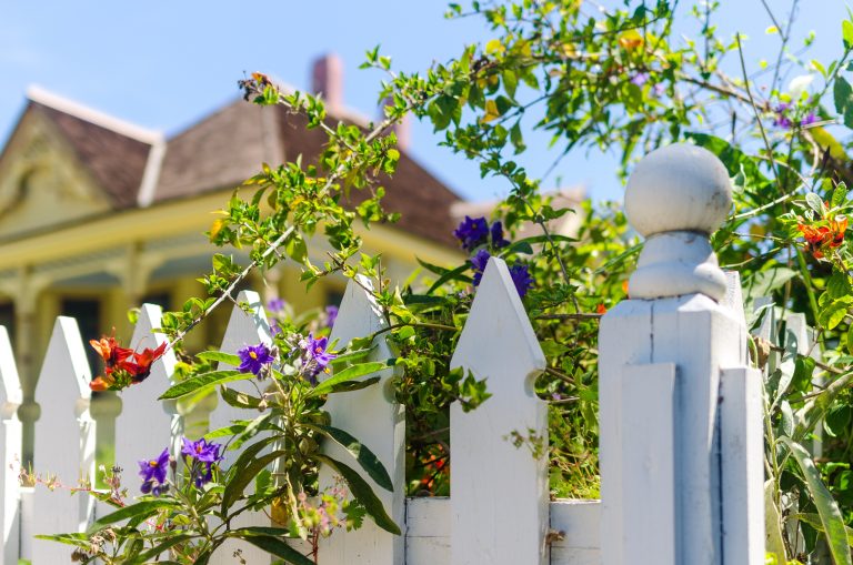 white-picket-fence-with-green-vines-and-flowers-an-2024-11-25-11-13-45-utc